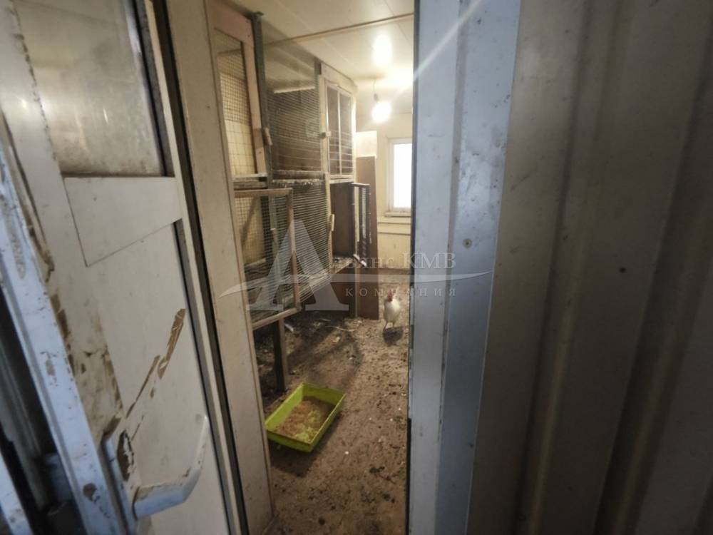 photo-2025-12-14-15-31-10 4