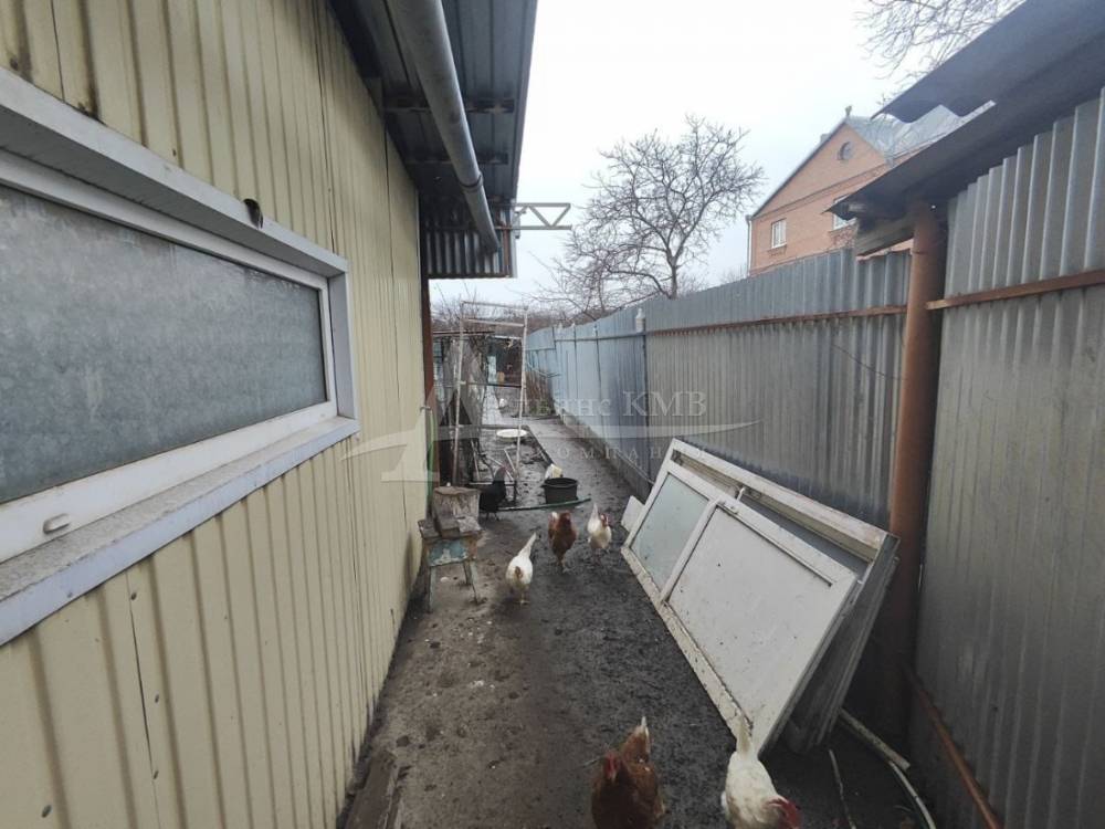 photo-2025-12-14-15-31-11 3