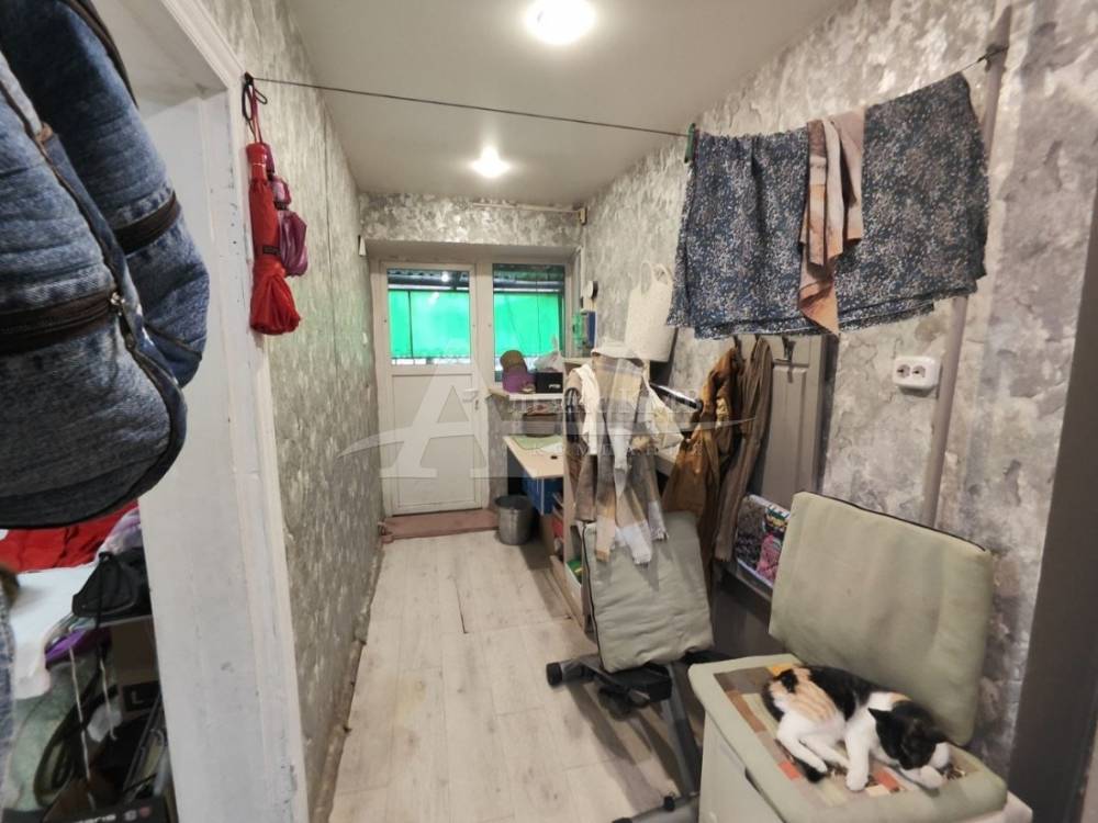 photo-2025-12-14-15-31-17 2