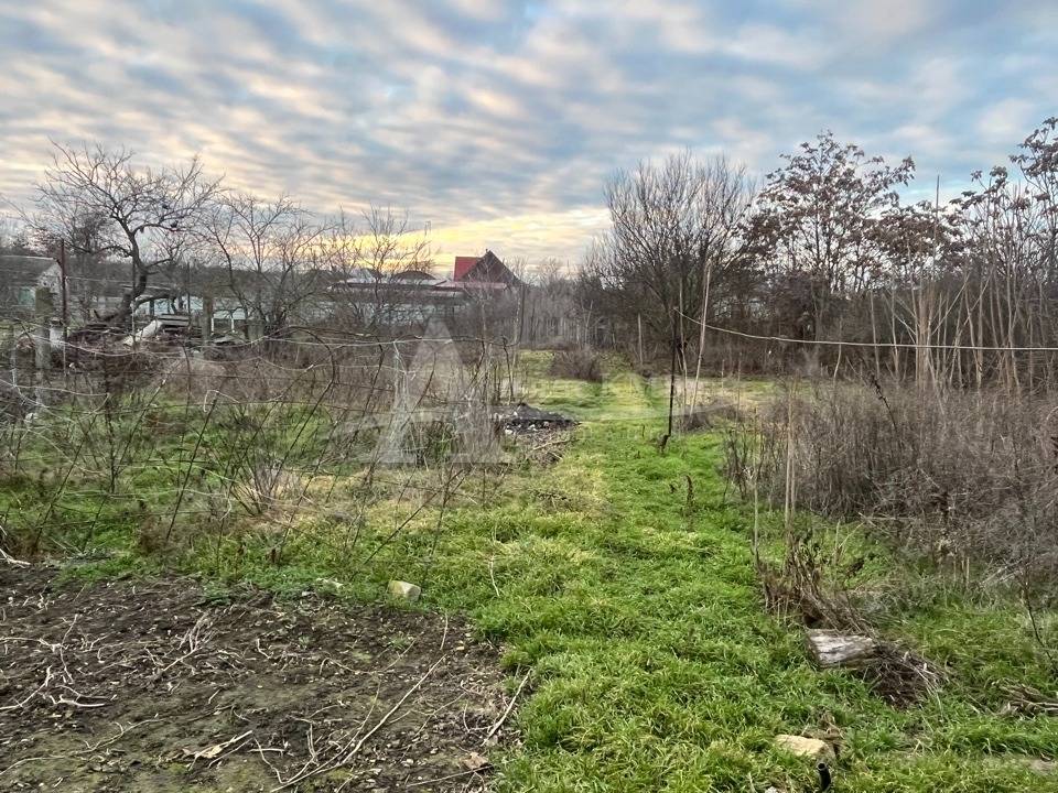 image-16-12-25-10-54-4