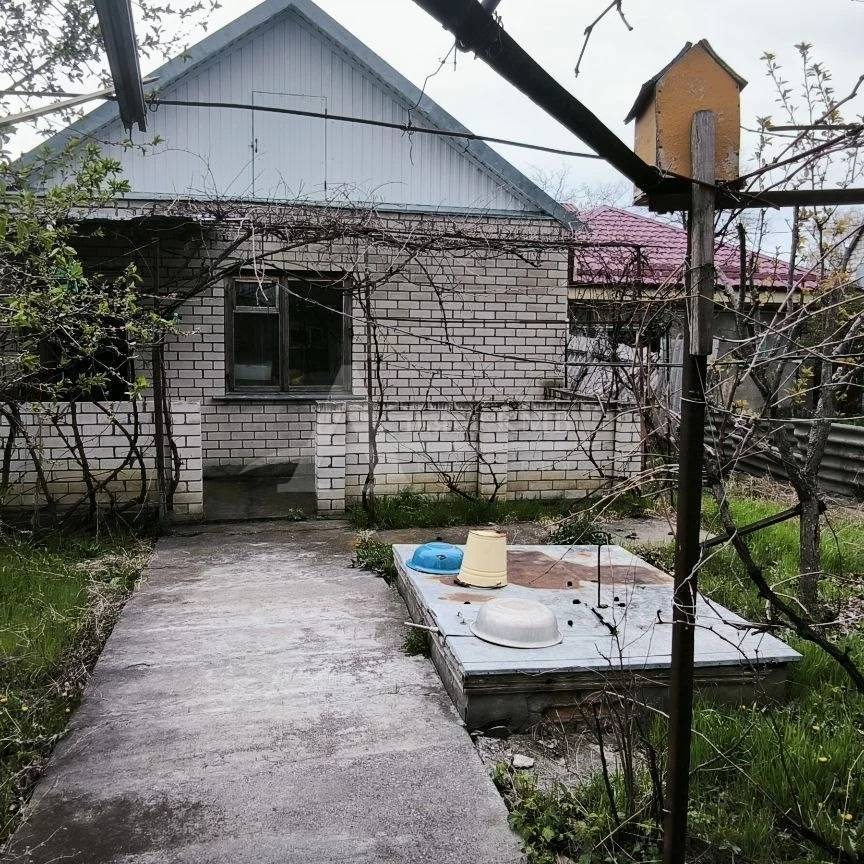 d3f95991-0bf7-46b0-ba11-9b62fa68137a