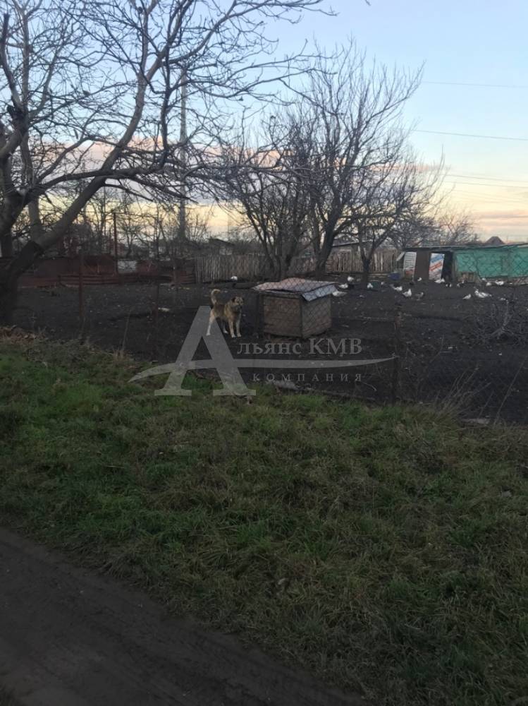 8d7d0f71-137f-4856-b889-b007eb88e8e7