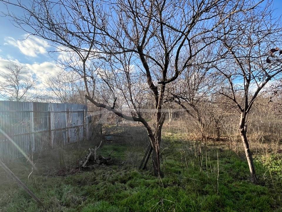 image-18-12-25-03-09-10