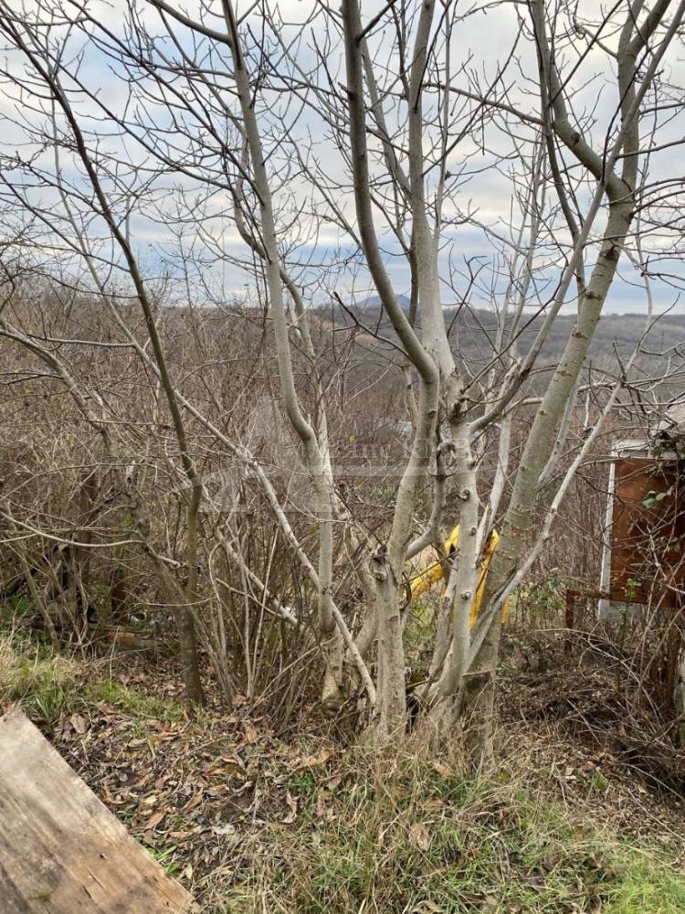 8d8bea90-b7df-4972-a95c-d753a6bebebc