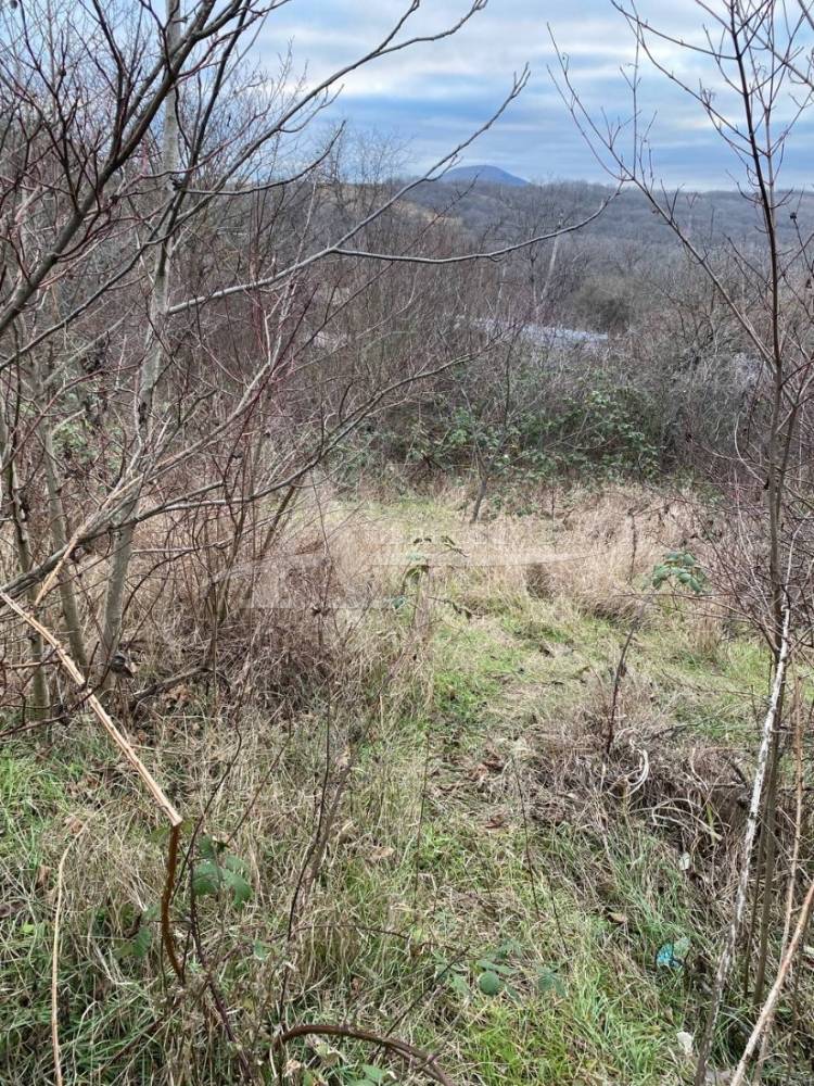 128961e1-946e-4070-849e-35a59db9f41c