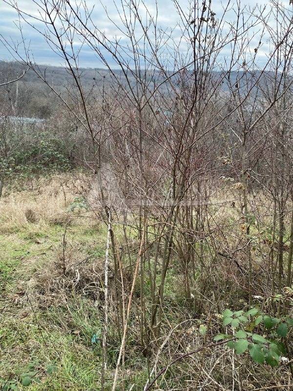 347d9ce0-4097-48fe-92e2-7c88733c63e8