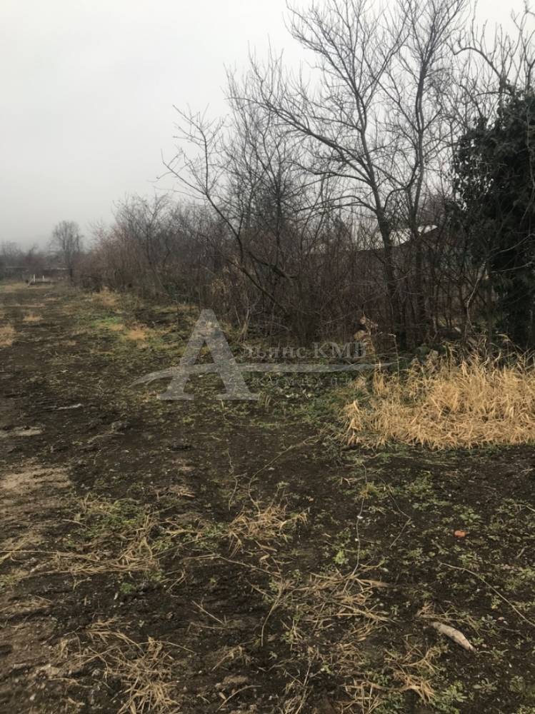 81edae82-1df8-4d6c-8523-b64b06ff007c