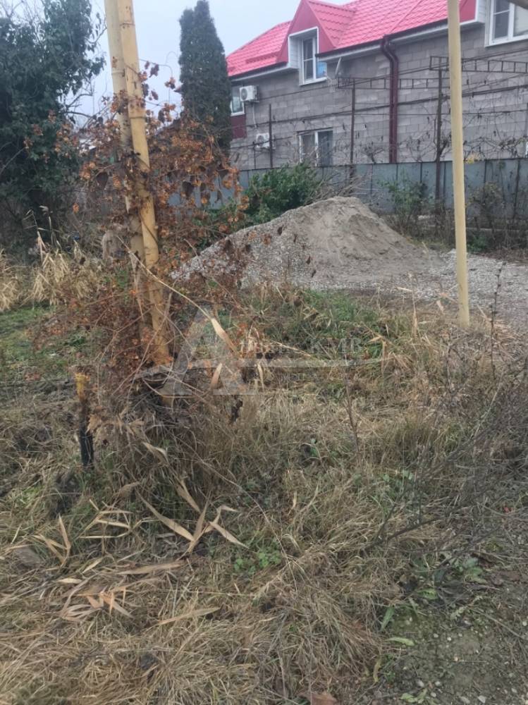 6e80d81e-1269-4c11-94d2-6b4eaed9fdf2