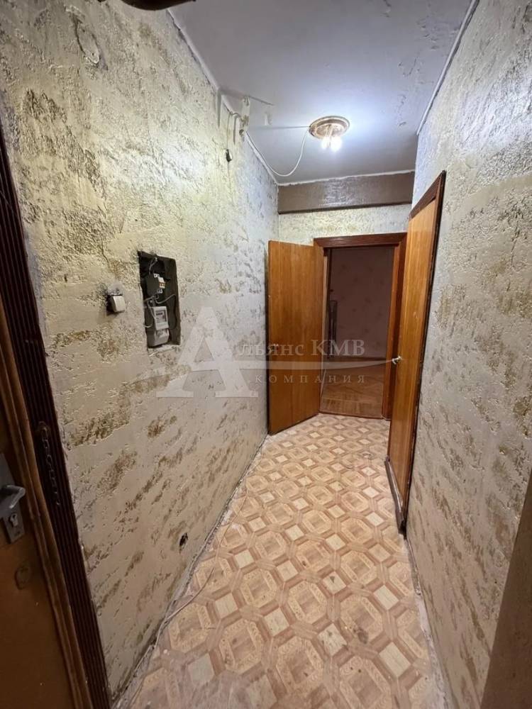 img_20260126_124921_629