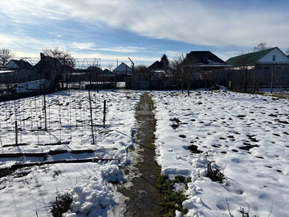 img_20260121_110414_520