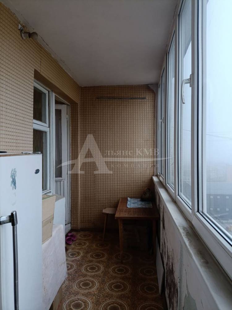 photo_5436201469204959314_y