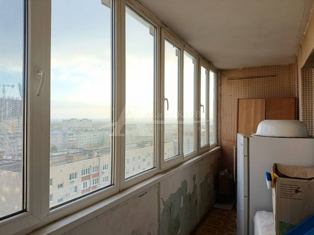 photo_5436201469204959433_y