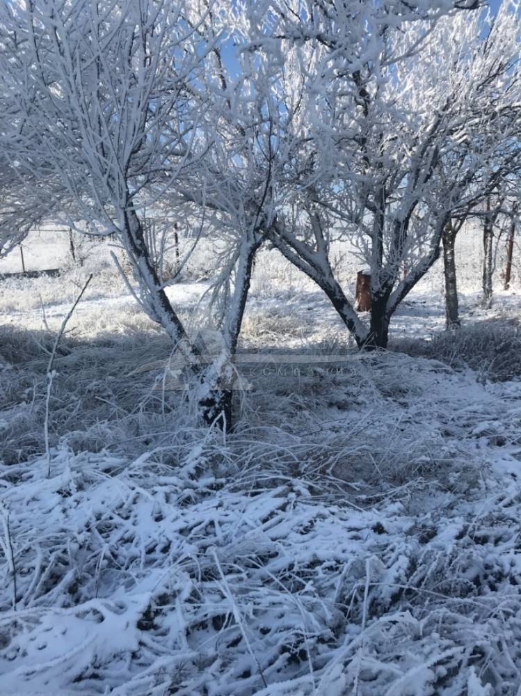 8947c22e-c182-4845-9c15-d3843205534d