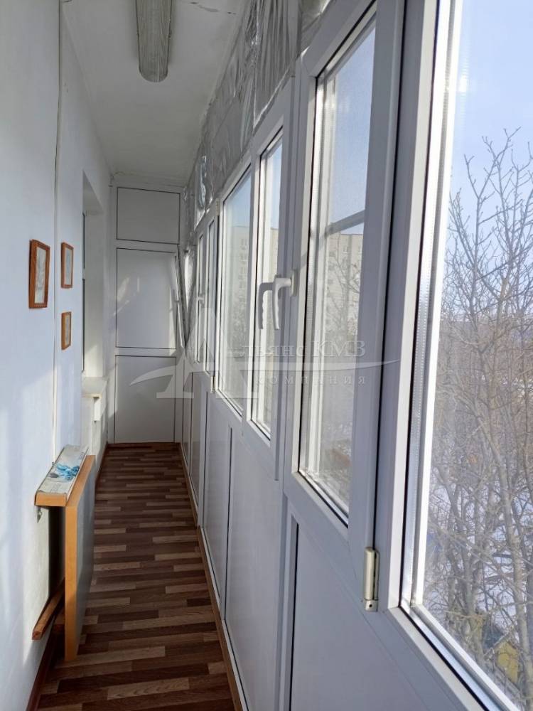 photo_5445092777357152181_y