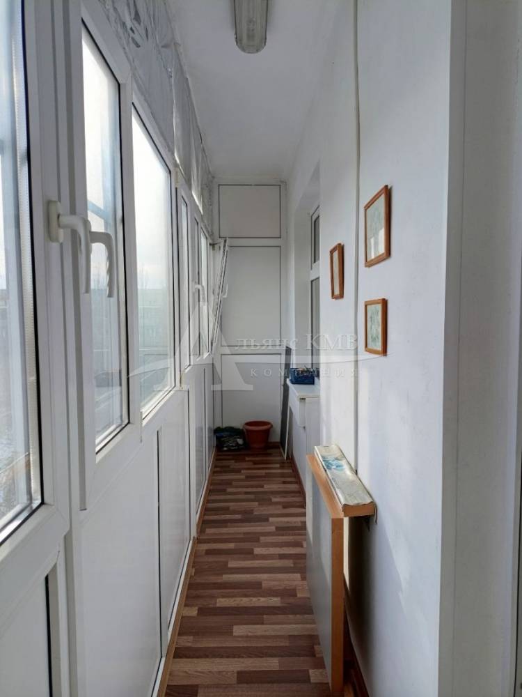 photo_5445092777357152183_y