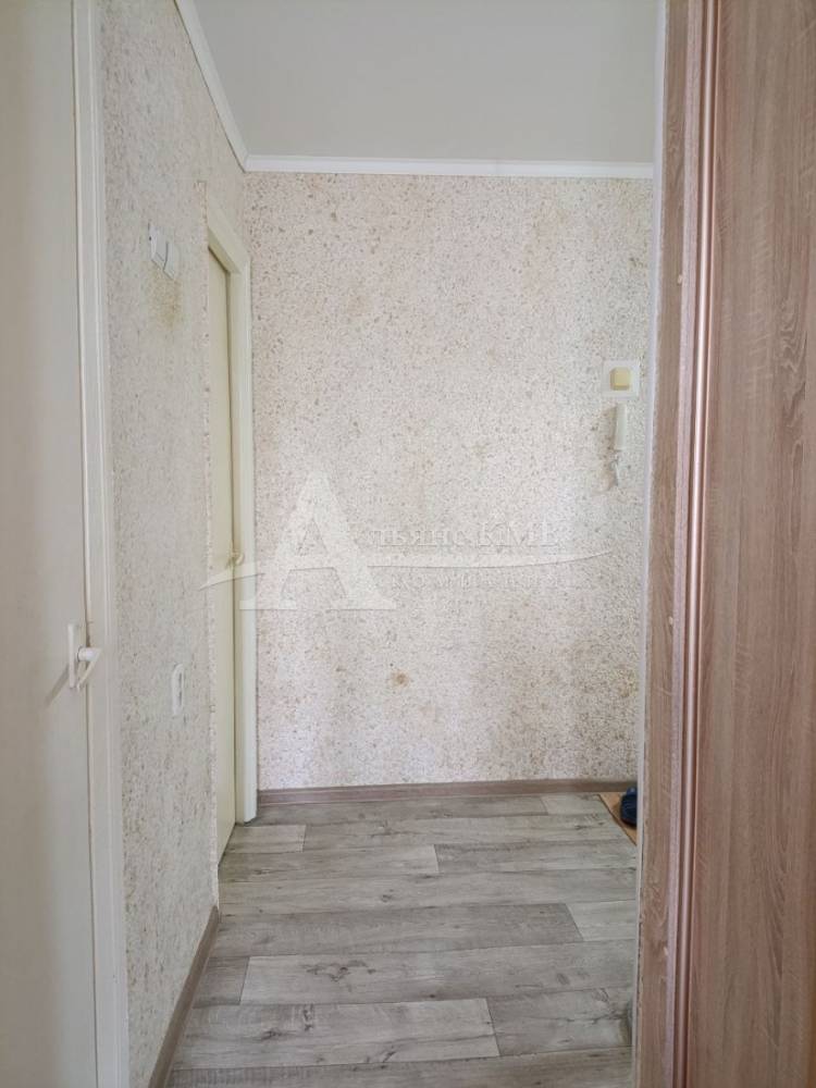 photo_5445092777357152177_y