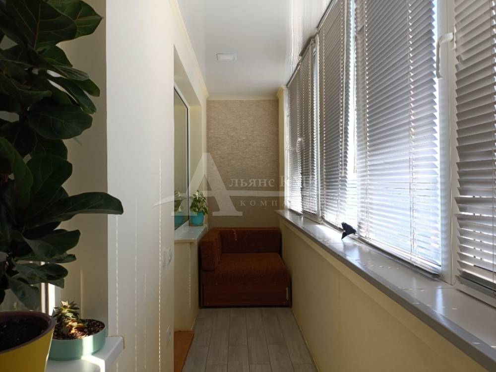 img_20250728_100500_542