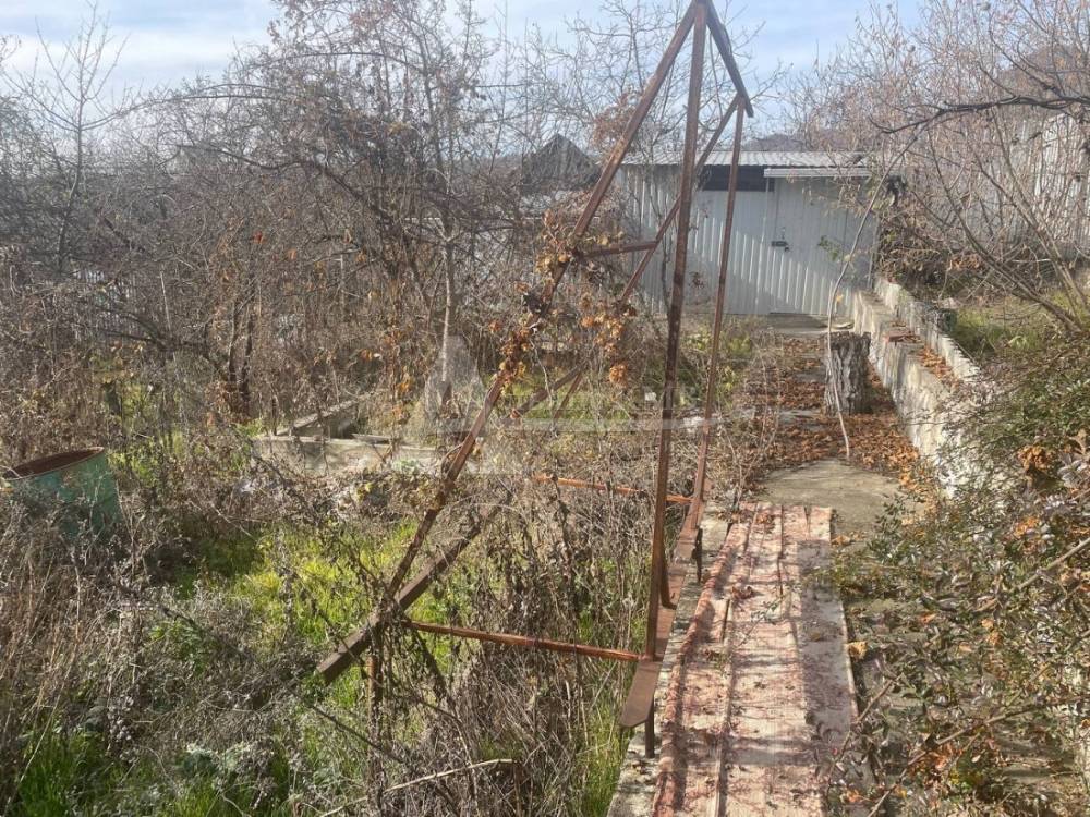 photo_2026-01-28_12-36-30