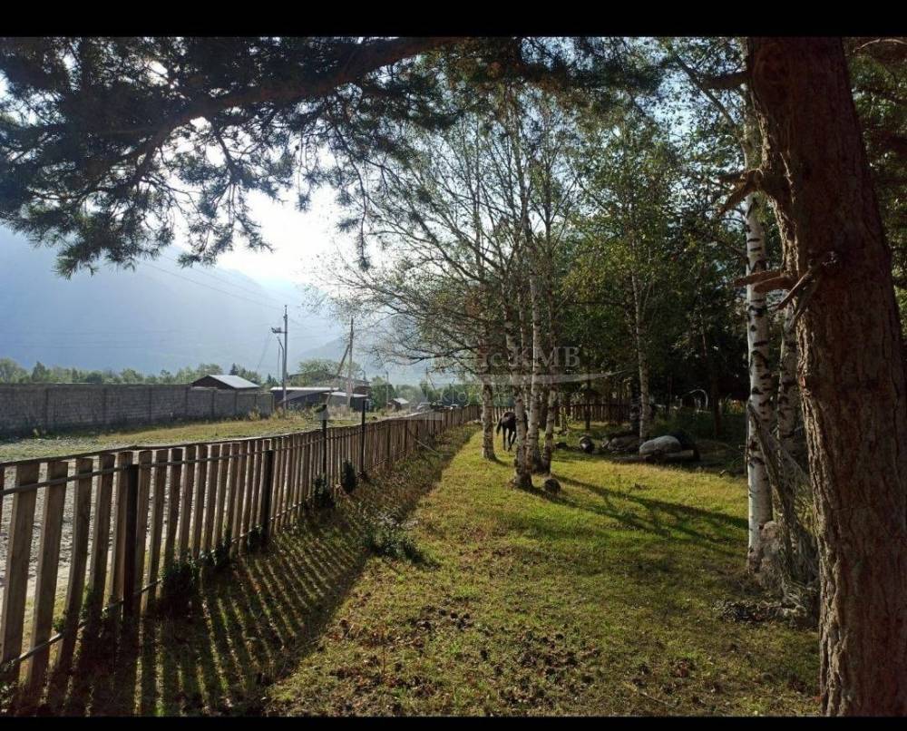 img_20260129_165611_634