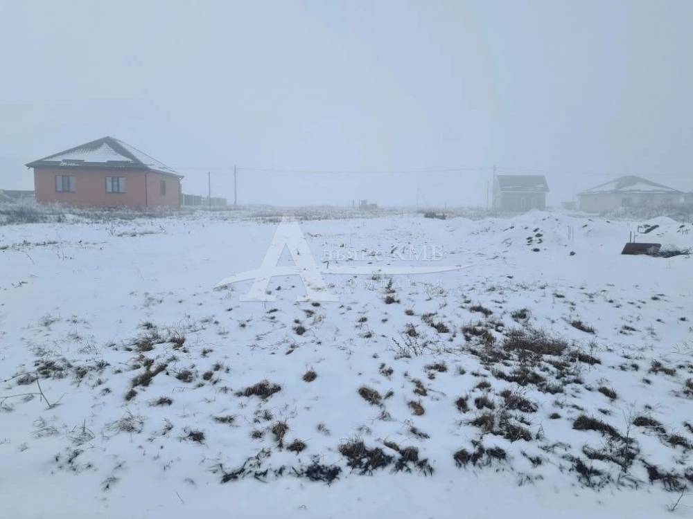 img_20260129_201406_559