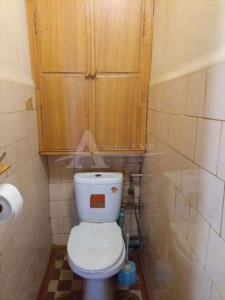 photo_5467641248286970214_y