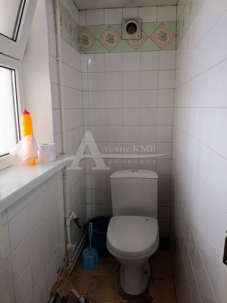 photo_5300883503723968777_y