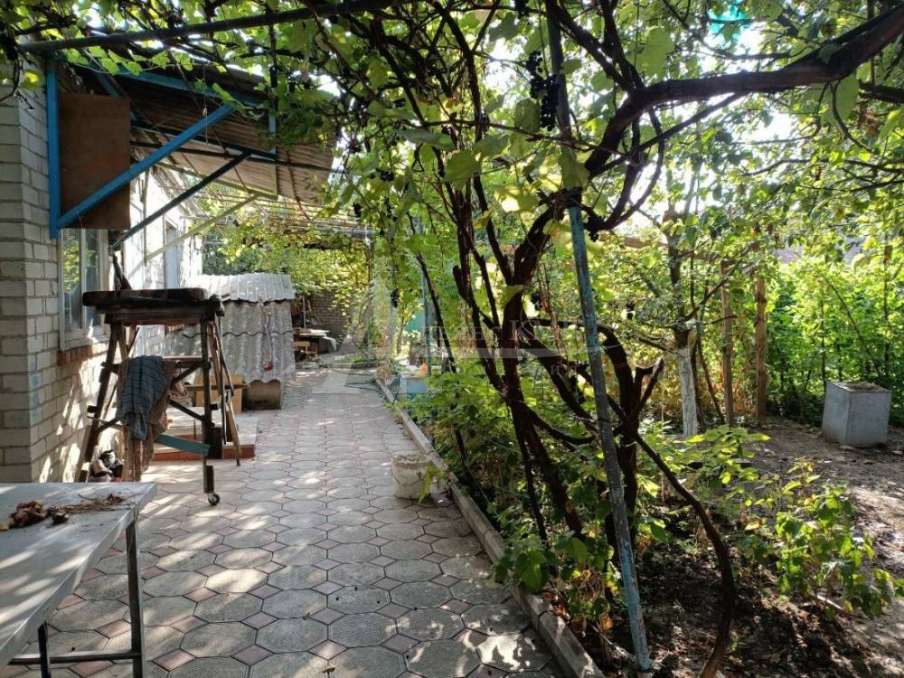 photo_5300883503723968816_y