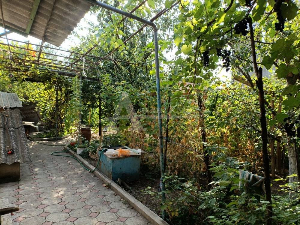 photo_5300883503723968815_y