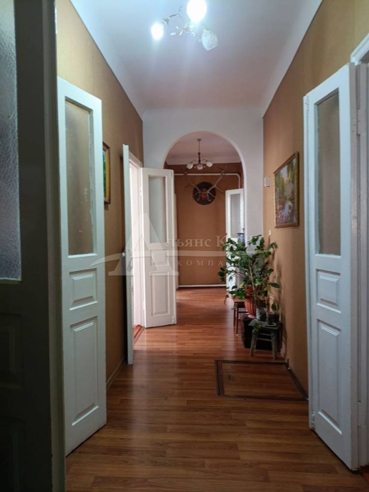 photo_5300883503723968809_y