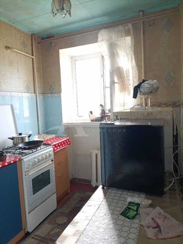 photo_5190695593762818980_y