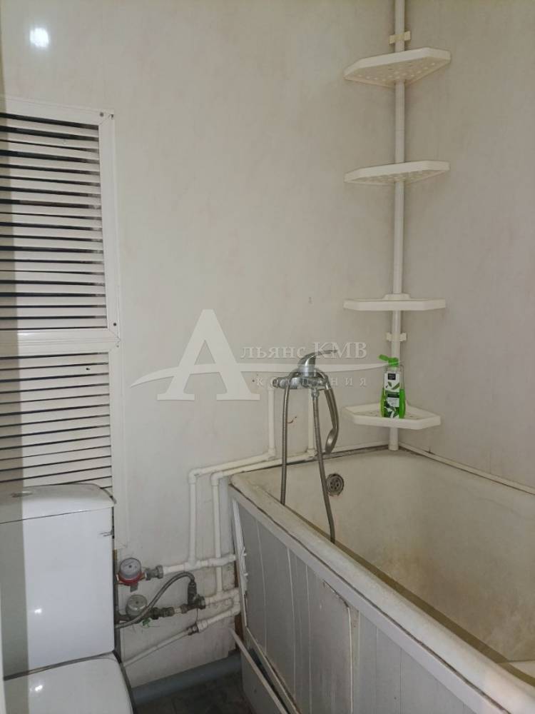 photo_5190695593762819002_y