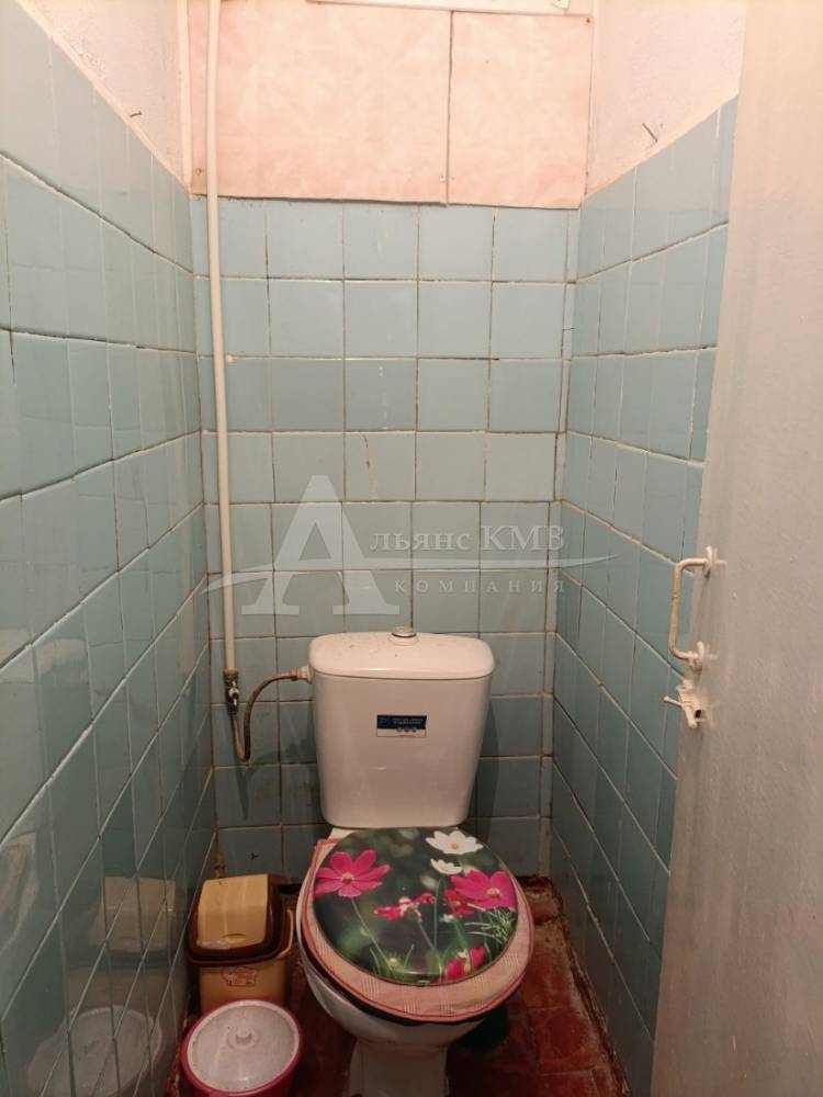 photo_5469893048100655326_y