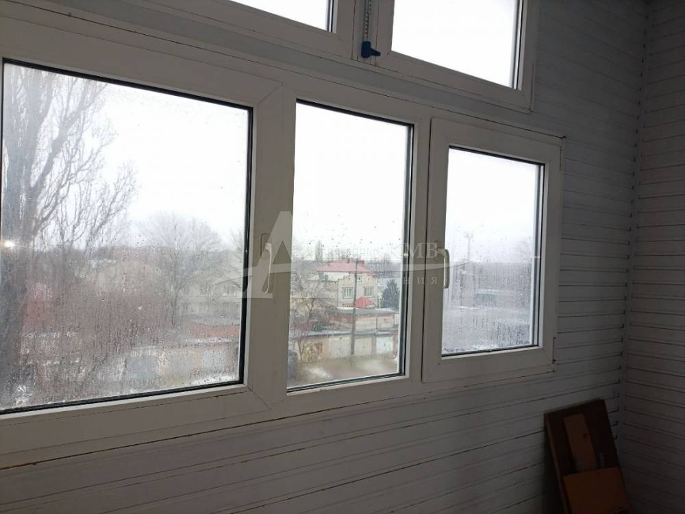 photo_5192942170896272386_y