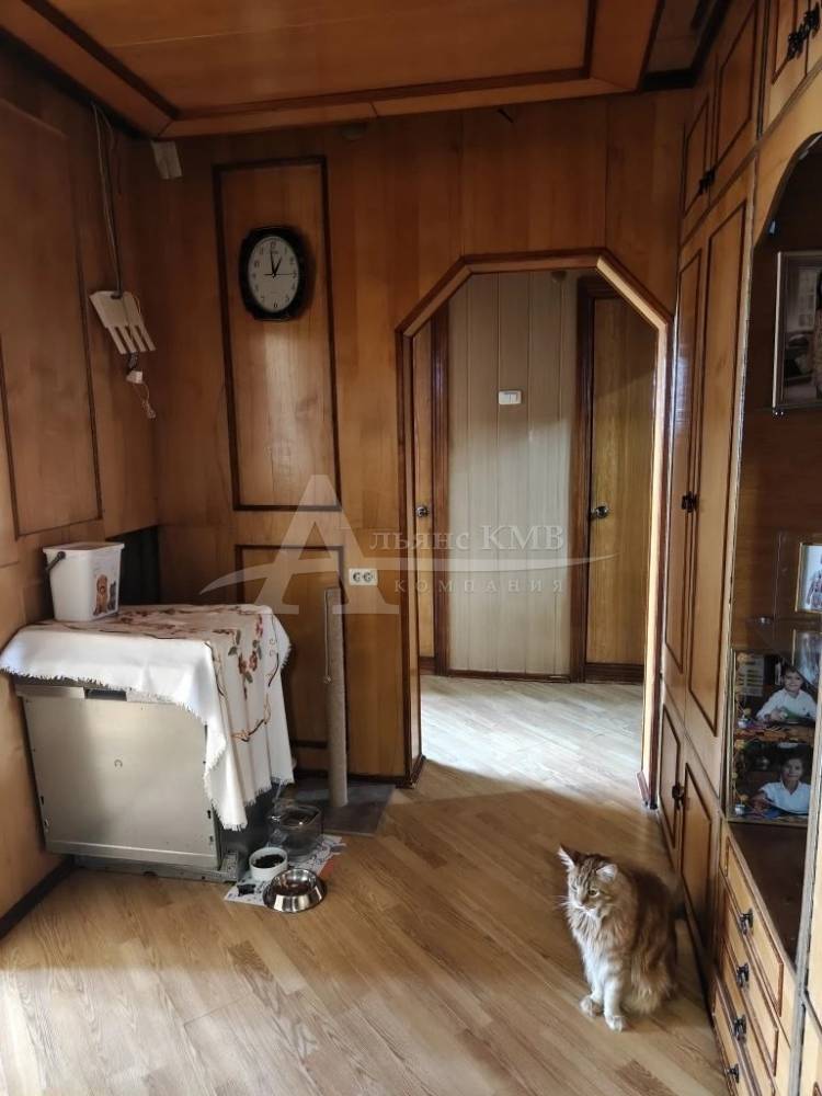 img_20260209_135538_703