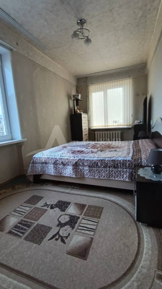 img_20260212_135214_312