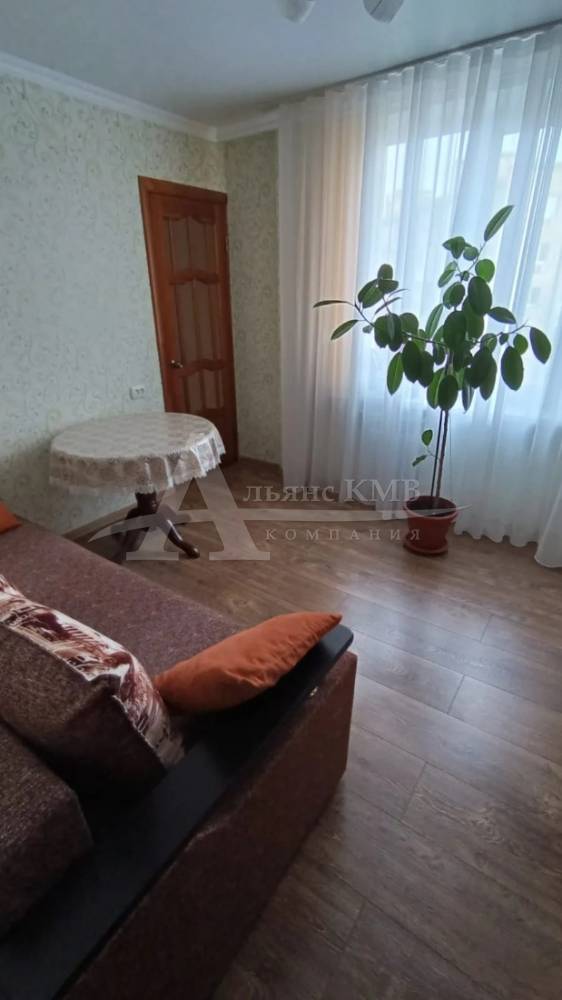 img_20260212_135229_278