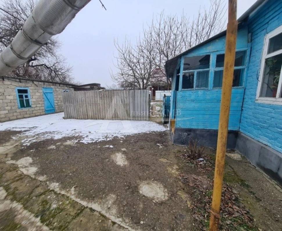 img_20260215_224404_424