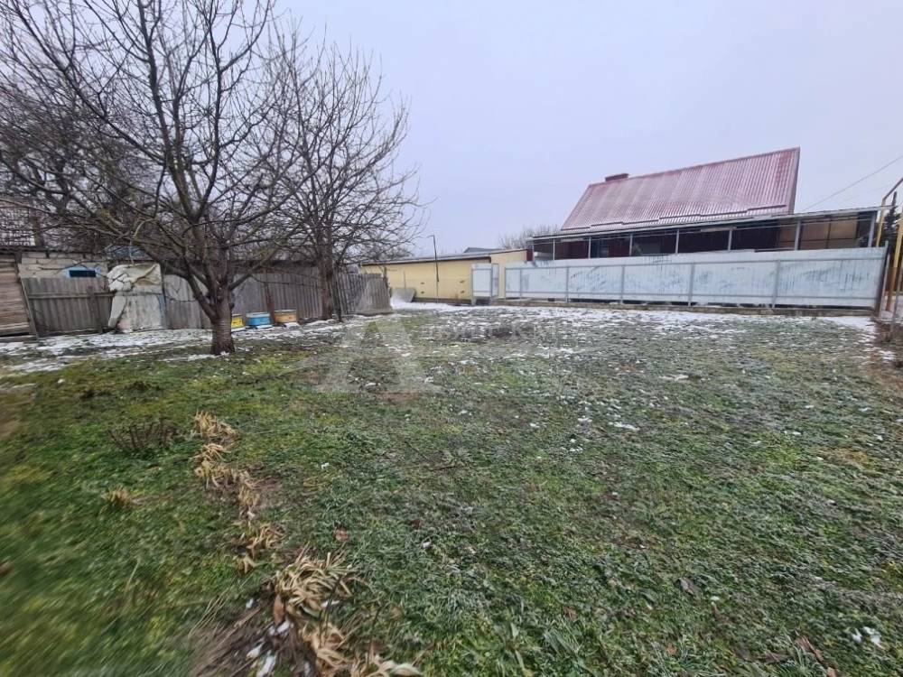 img_20260215_224401_245