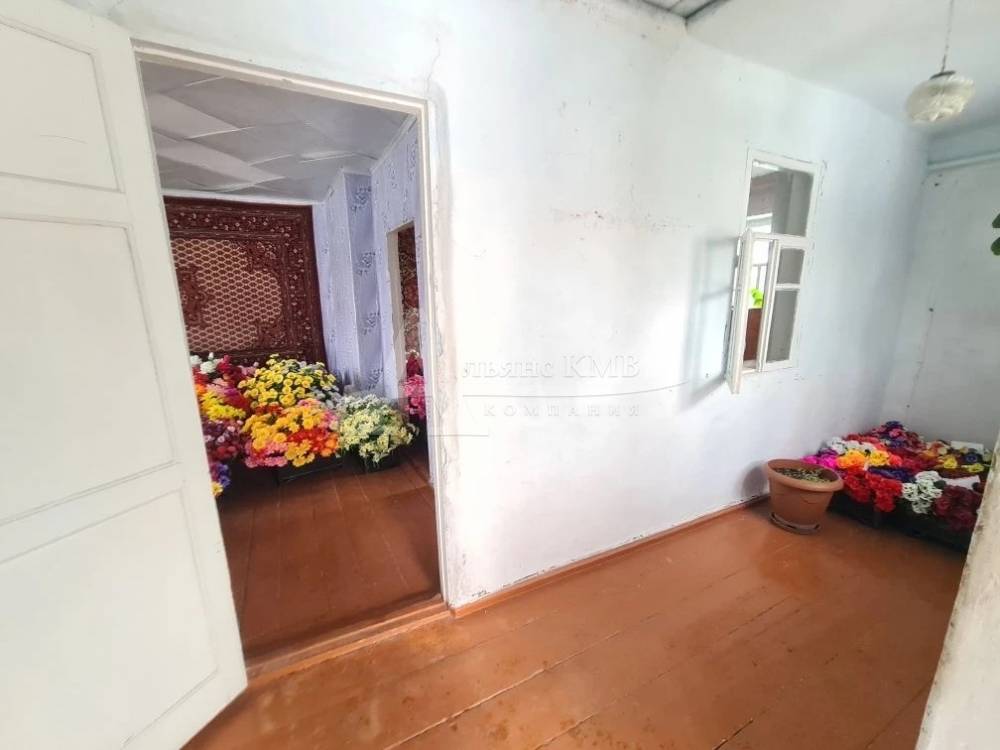 img_20260215_224437_454