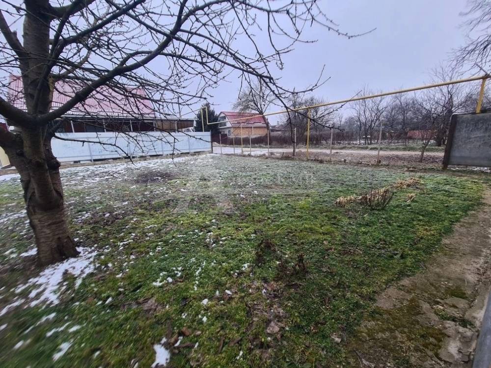 img_20260215_224445_105