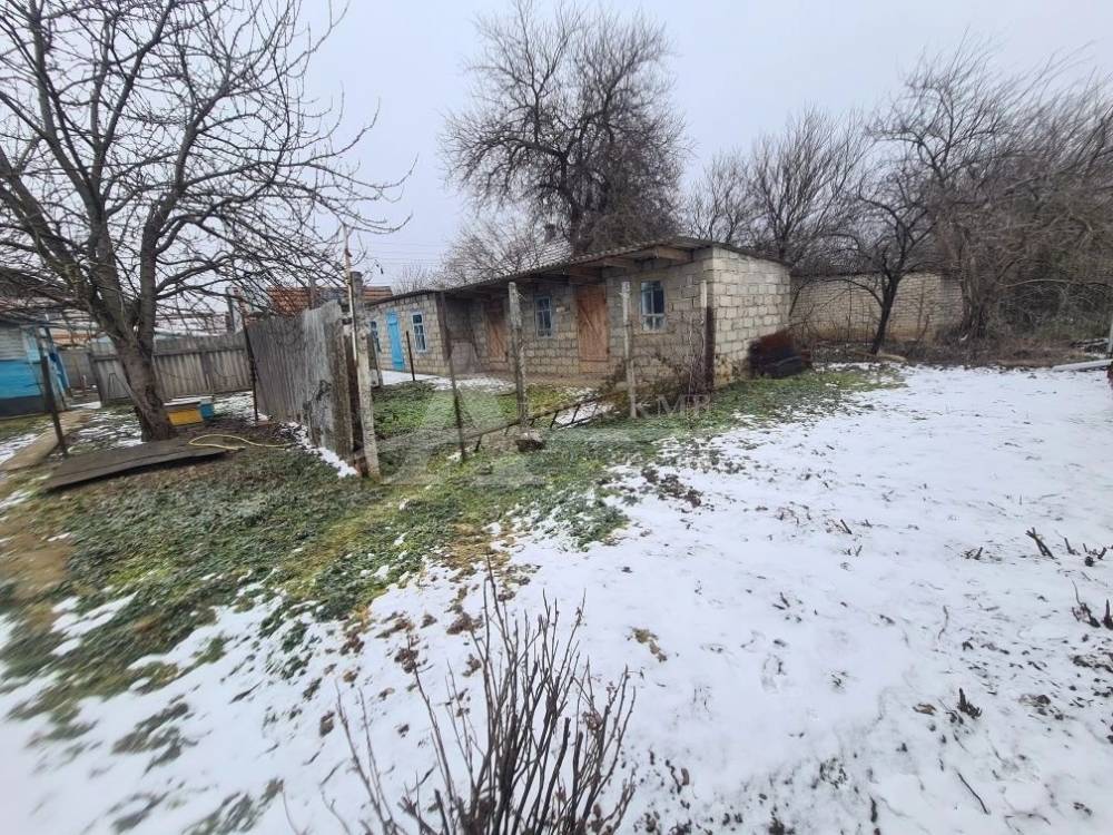 img_20260215_224448_036