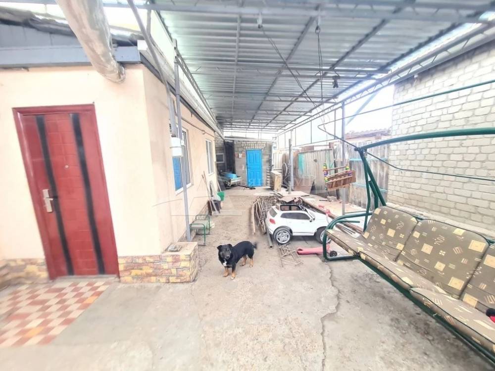 img_20260215_230719_452