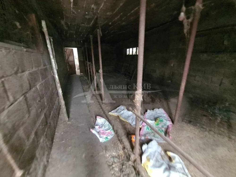 img_20260215_230755_671