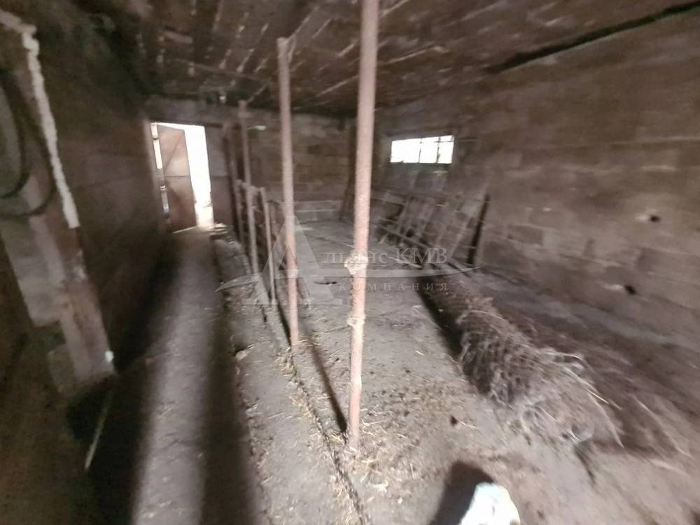 img_20260215_230750_138