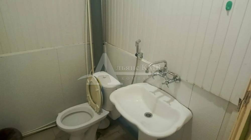 img_20260216_104336_205