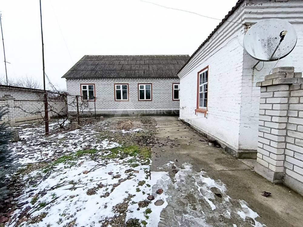 img_20260218_113331_884