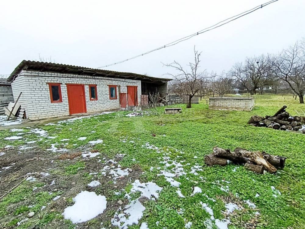 img_20260218_113655_614