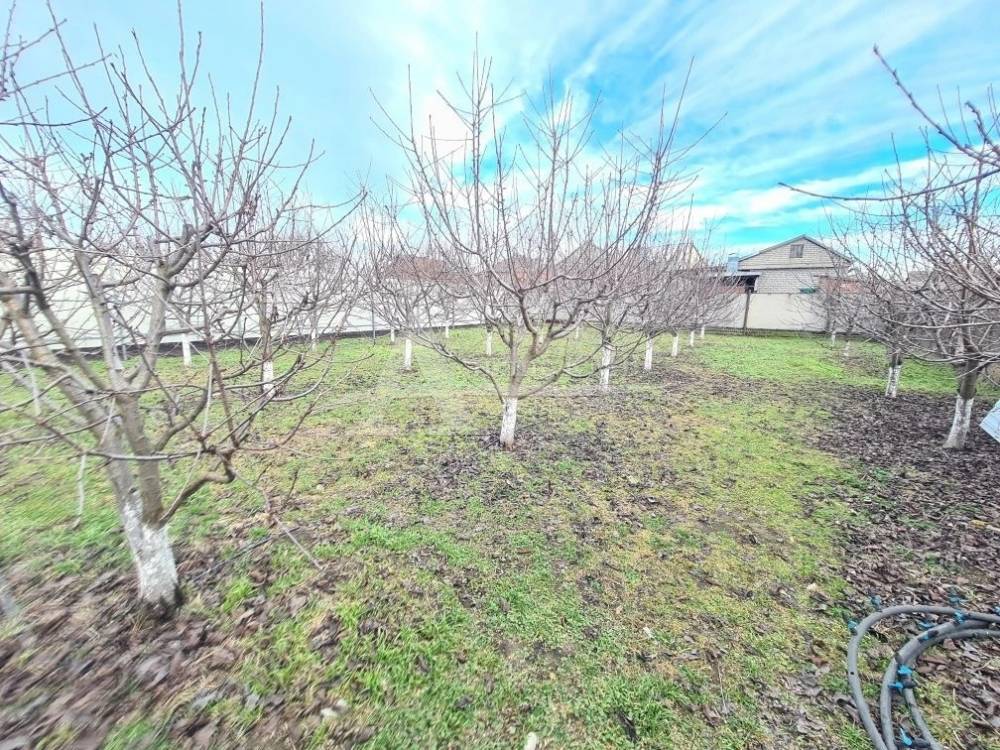 img_20260221_232305_262