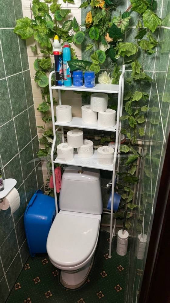 photo_5_2026-02-23_18-55-02