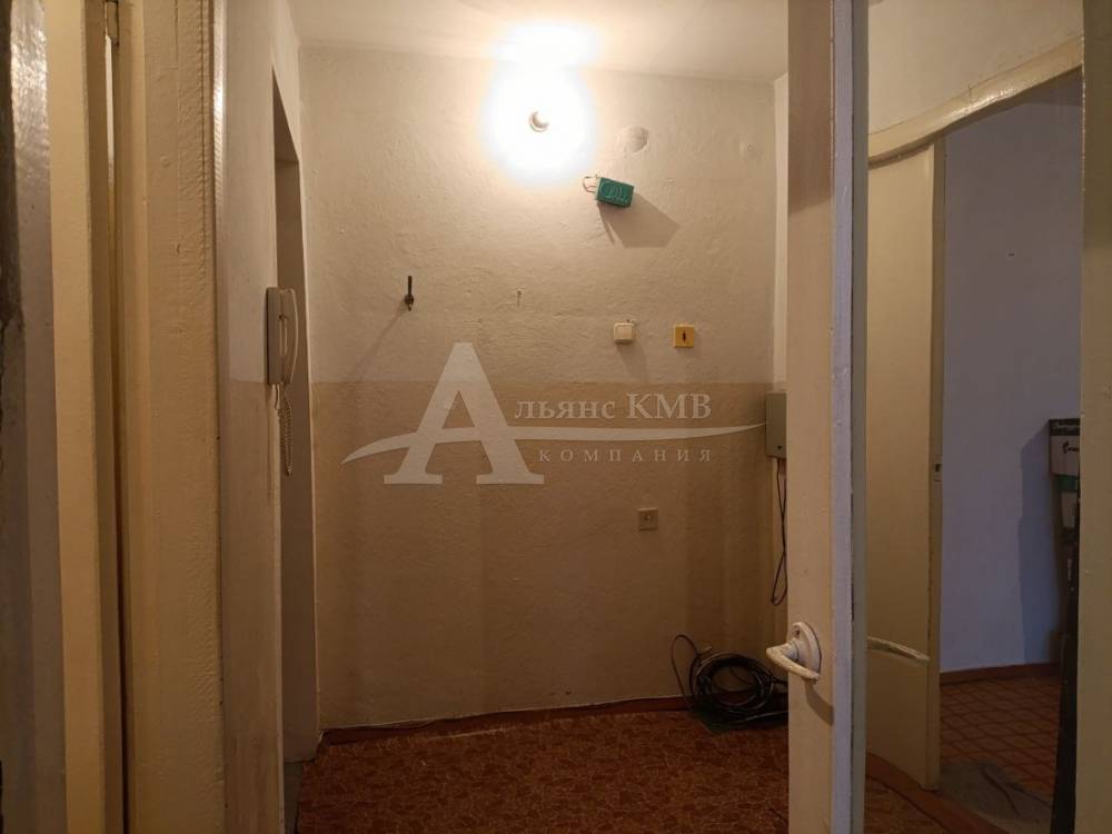 photo_5256124099052901233_y